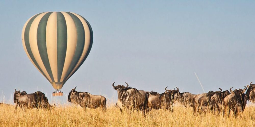 Masai Mara Safari Kenya (Hot Air Balloon Safari)