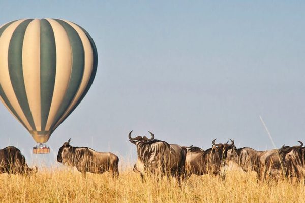 Masai Mara Safari Kenya (Hot Air Balloon Safari)