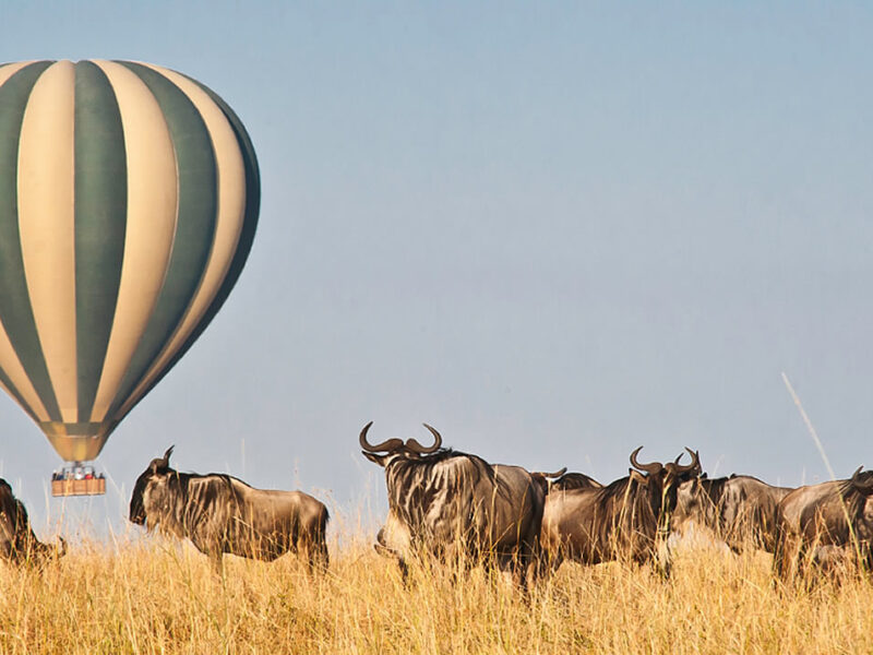 Masai Mara Safari Kenya (Hot Air Balloon Safari)