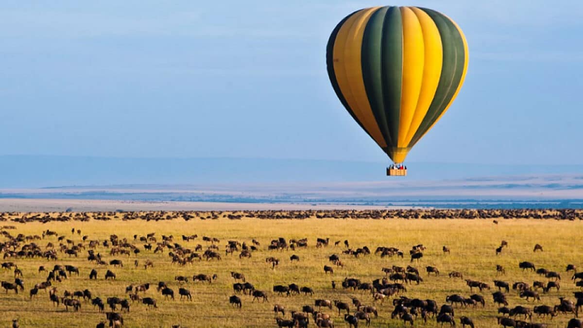 Tanzania Balloon Safaris