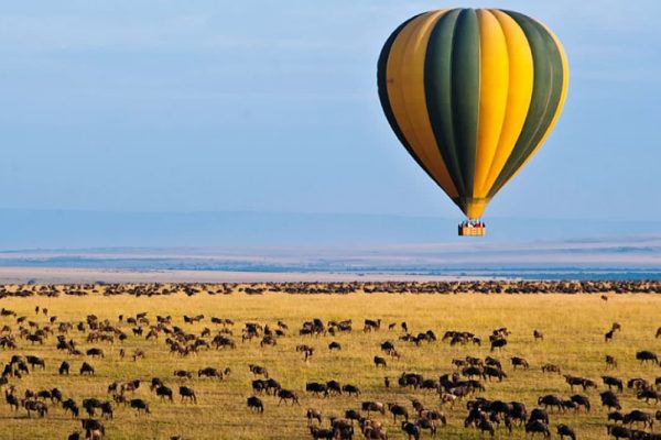 Tanzania Balloon Safaris