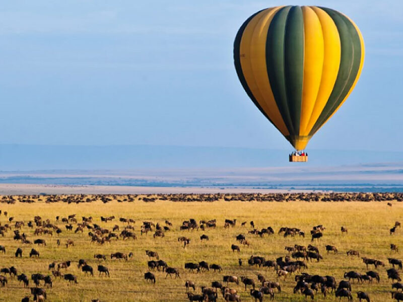 Tanzania Balloon Safaris