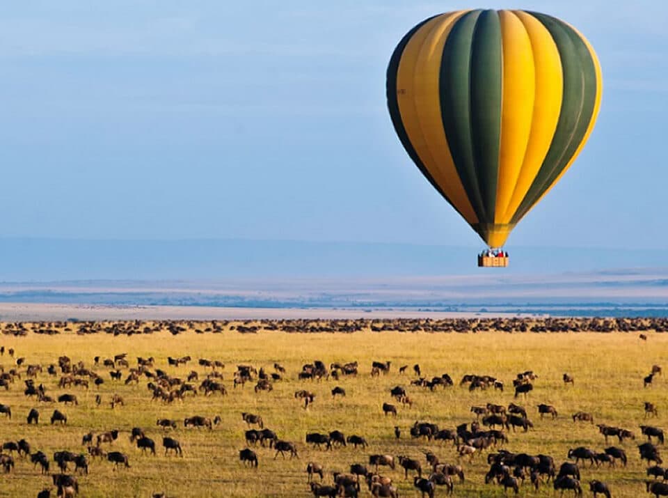 Tanzania Balloon Safaris