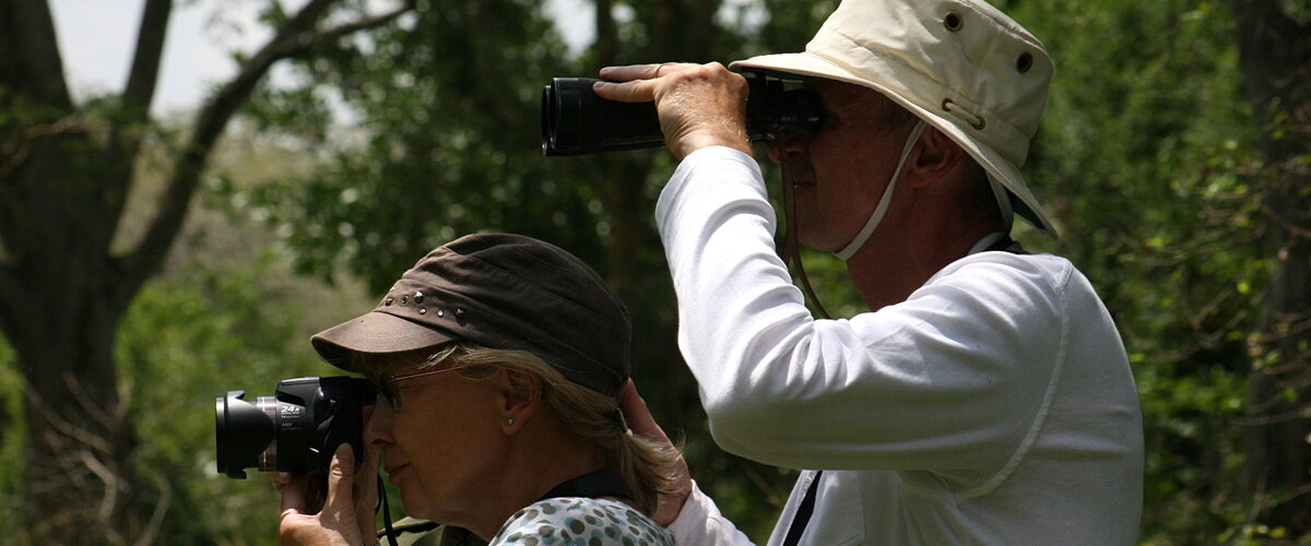 Primates Tour Uganda