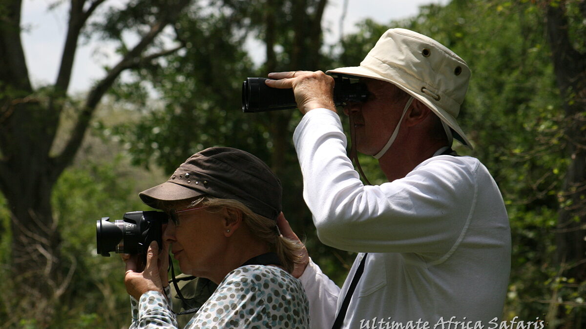 Primates Tour Uganda