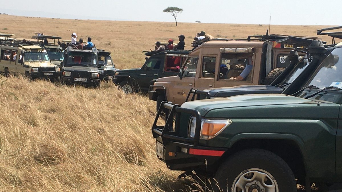 Africa Adventure Tours