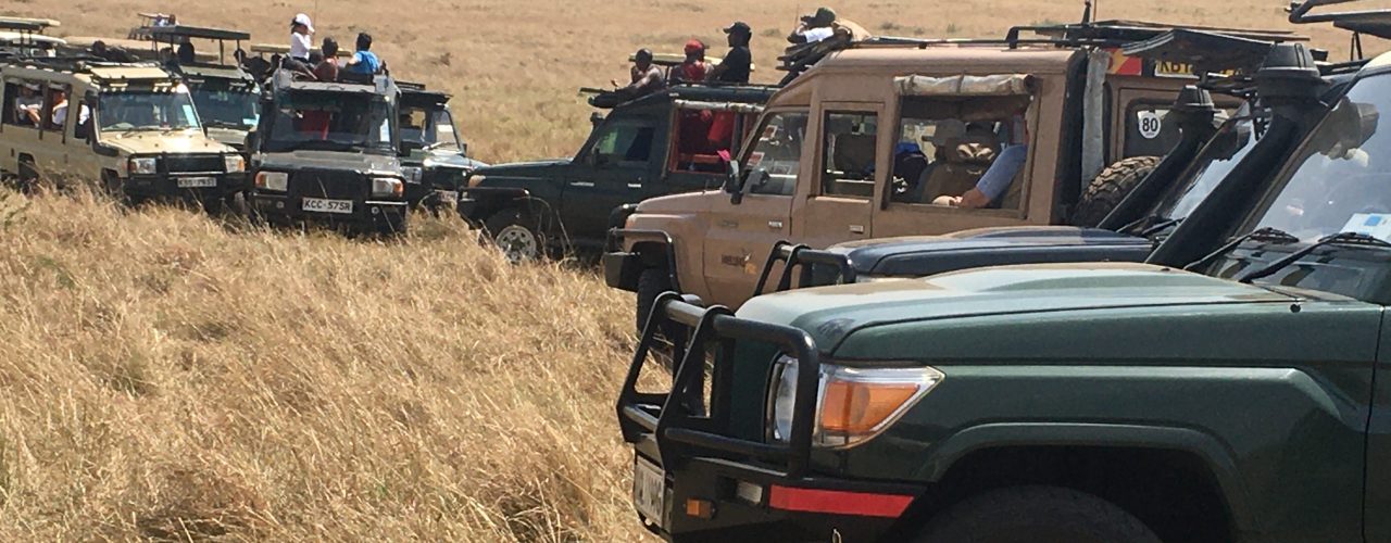 Africa Adventure Tours