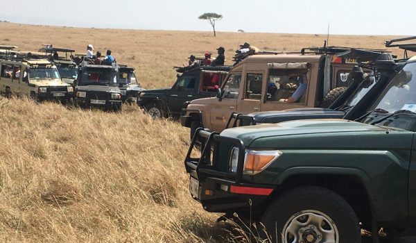 Africa Adventure Tours