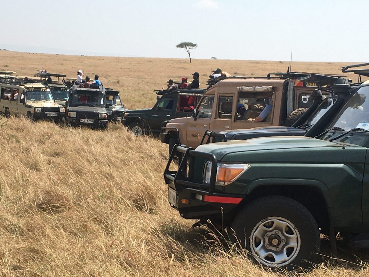 Lake Manyara National Park