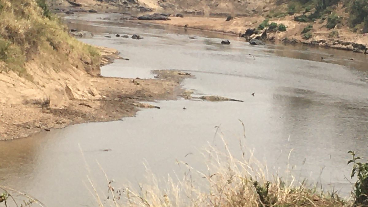 Serengeti National Park
