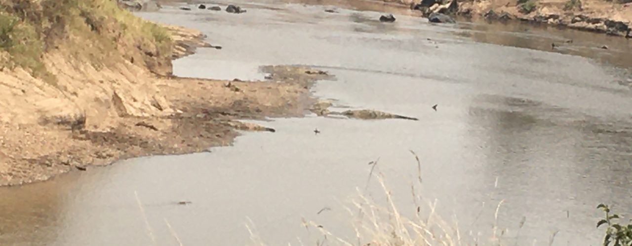 Serengeti National Park