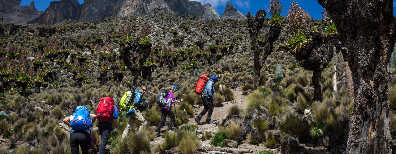 Mountain Elgon Hiking Safari