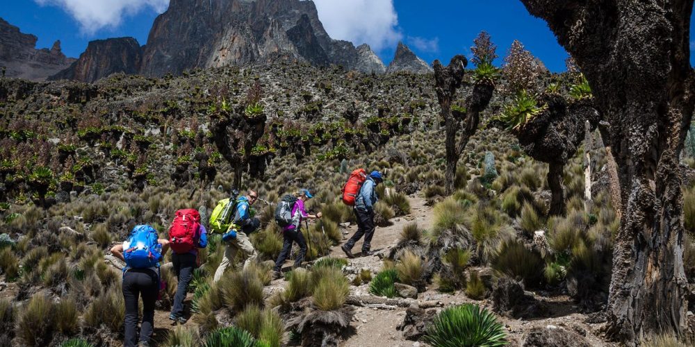 Mountain Elgon Hiking Safari