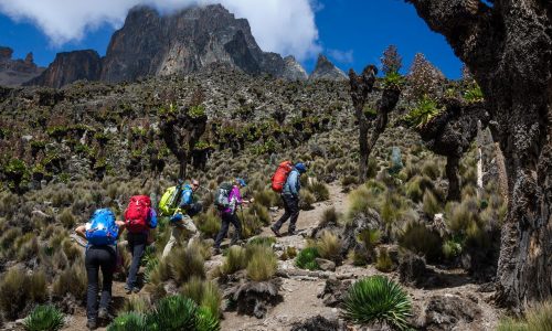 Mount Kenya Hiking Safari