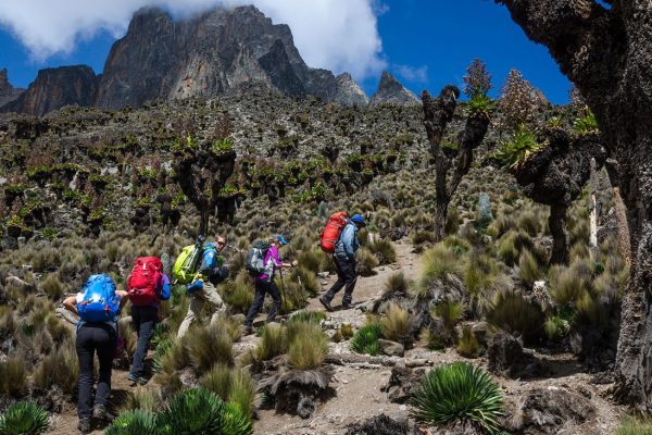 Mountain Elgon Hiking Safari