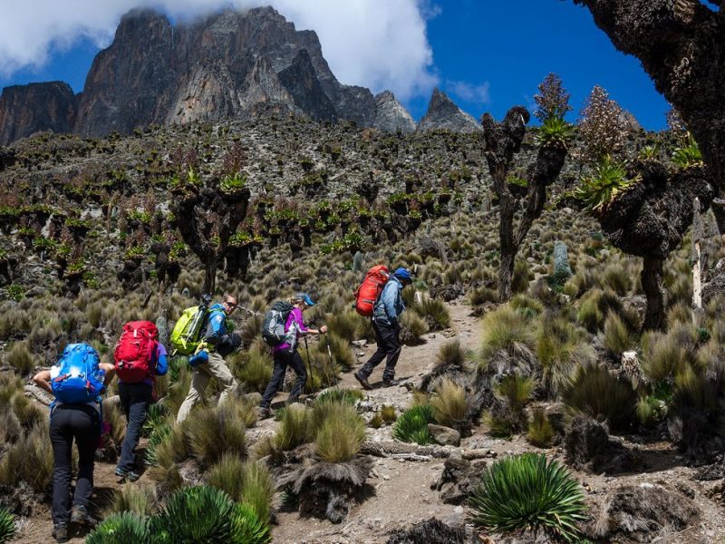 Mount Kenya Hiking Safari