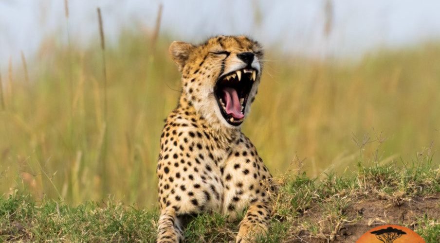 Lake Manyara National Park