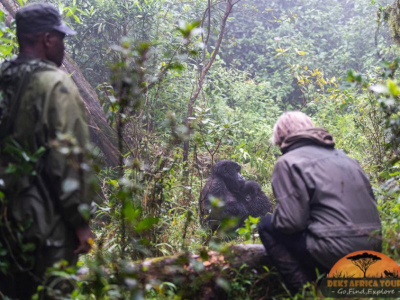 Uganda Safari Tour