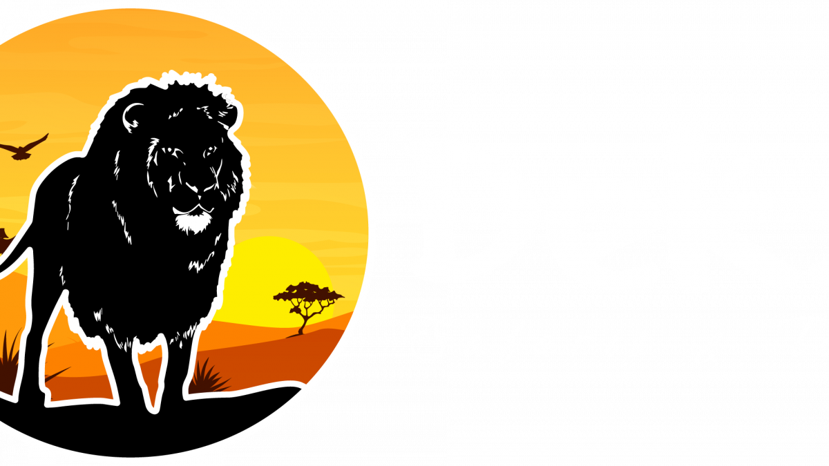 Deks Safaris & Tours