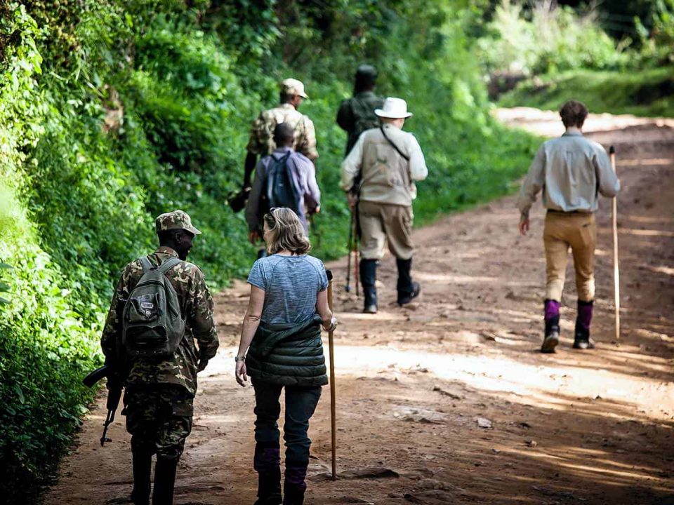 Africa Safari