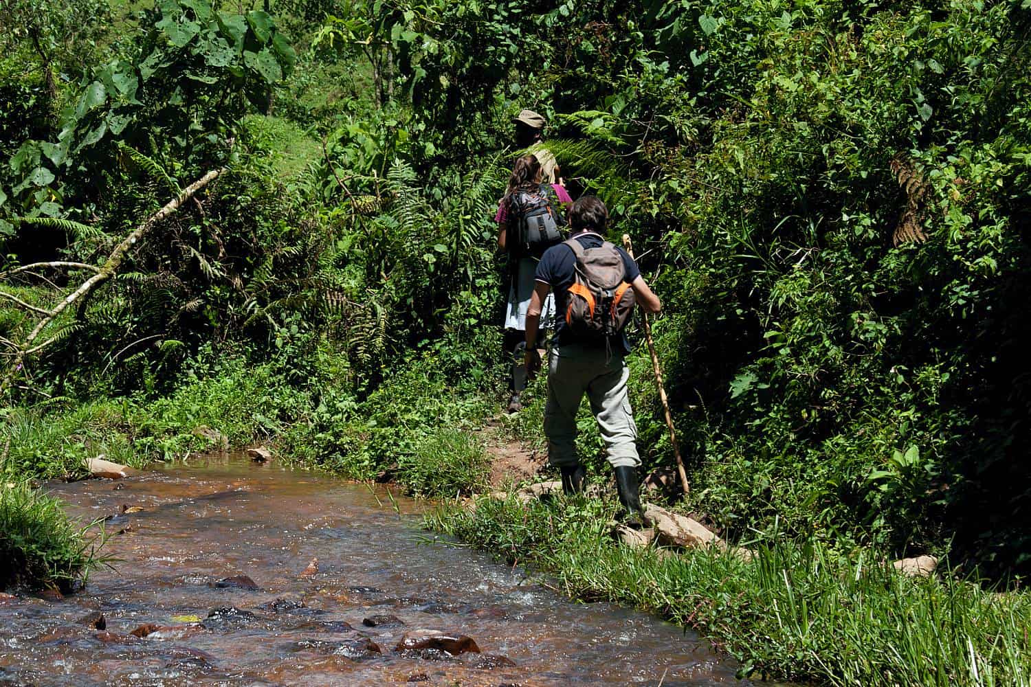 Rwanda Gorilla Safaris