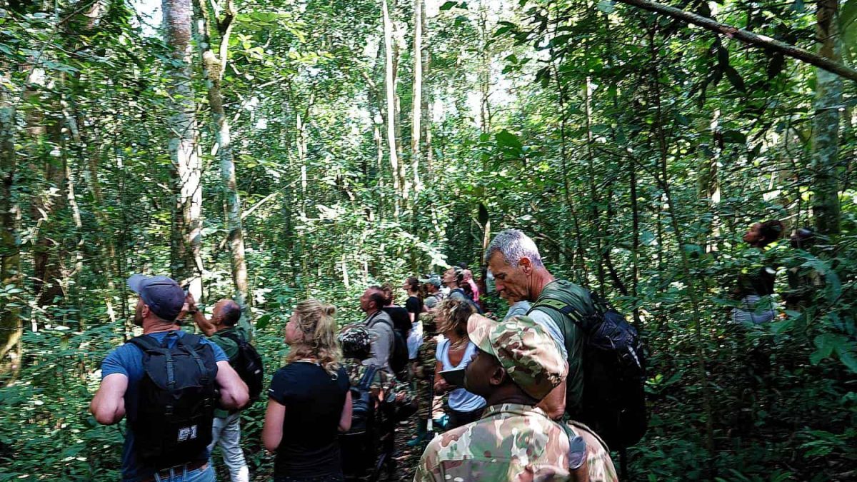 Rwanda Primate Tracking & Cultural 8-Day Tour