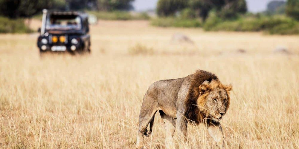 Africa Safari Discovery Tours