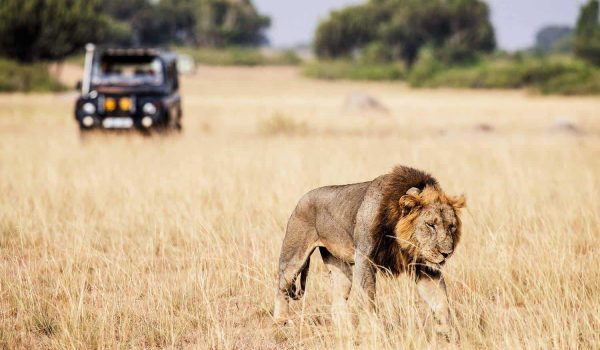Africa Safari Discovery Tours