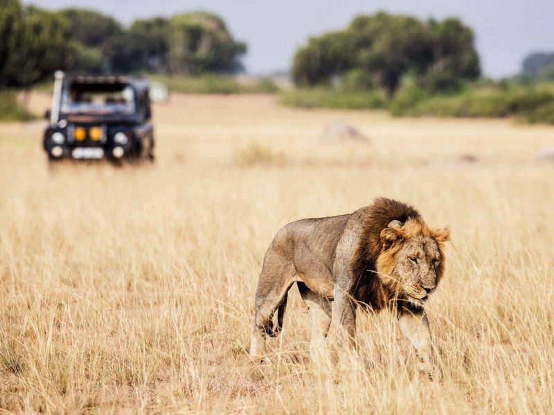 Africa Safari Discovery Tours