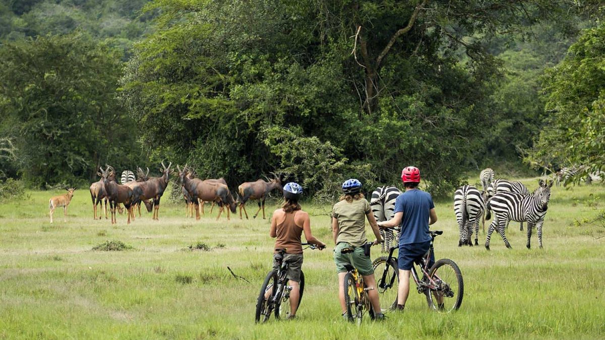 Rwanda Photo Safari Tours