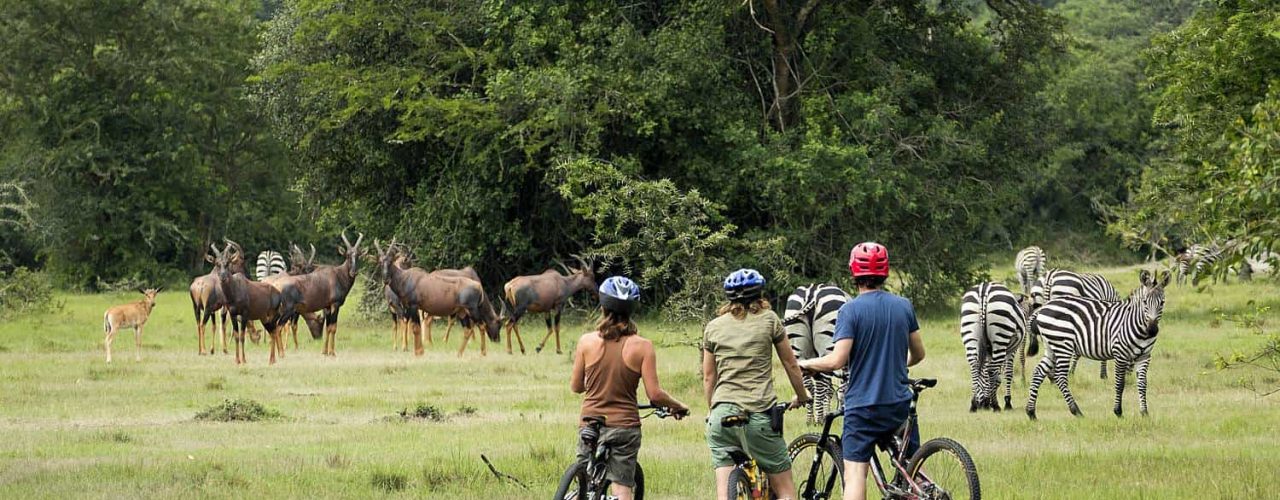 Rwanda Photo Safari Tours