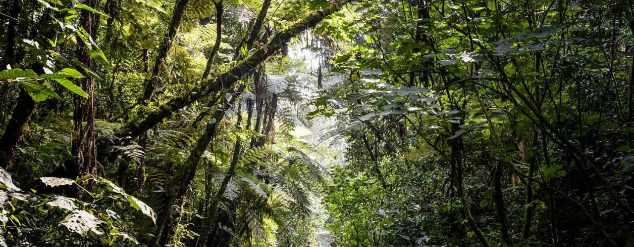 Mountain Hiking Tours