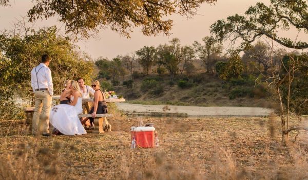 Kenya Safari Tours