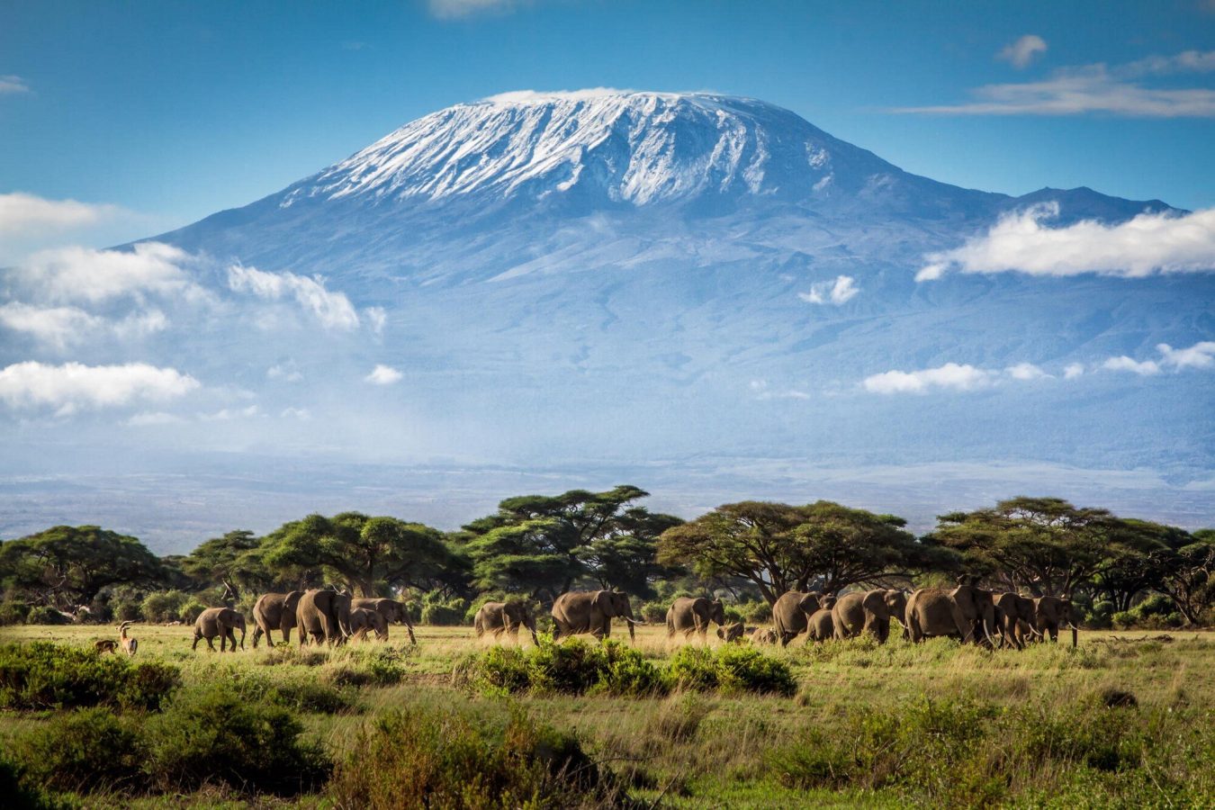 Complete Kenya Safari