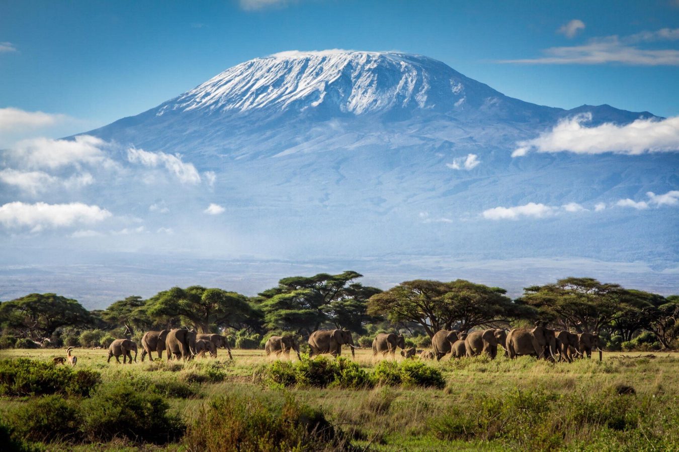 Amboseli National Park