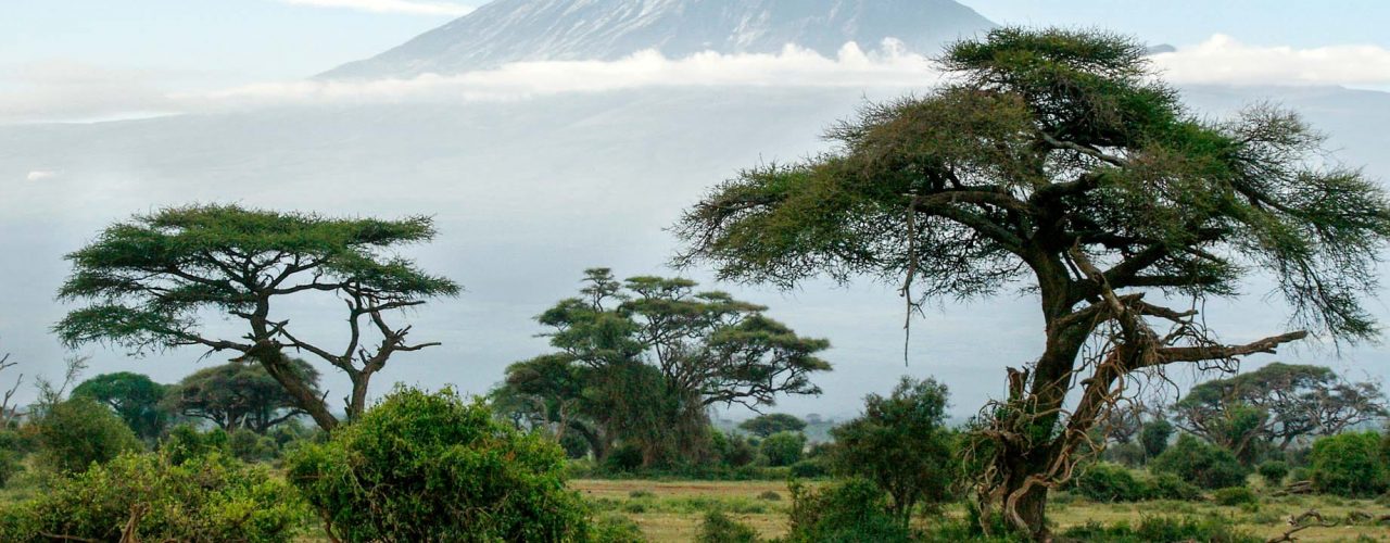 Mount Kilimanjaro National Park