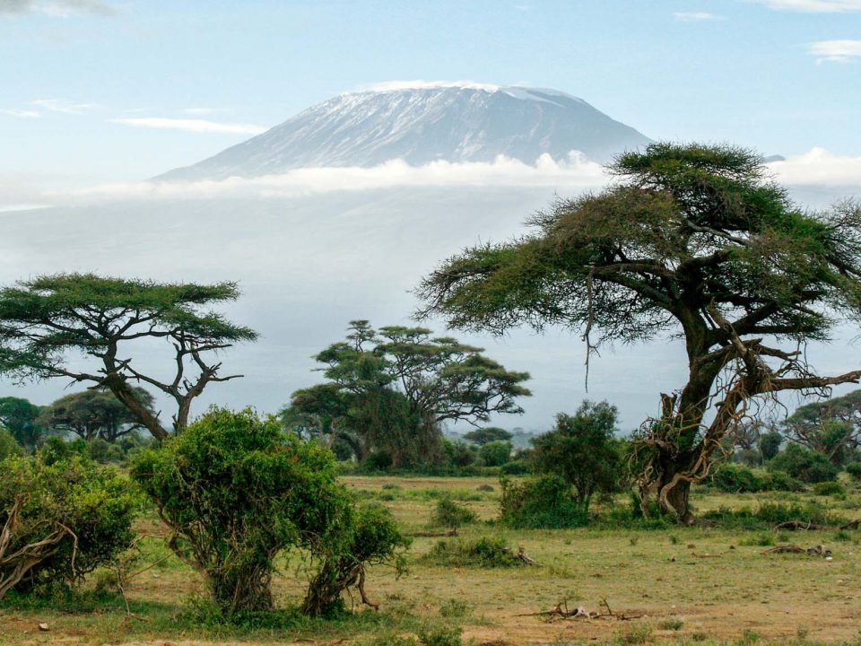 Mount Kilimanjaro National Park