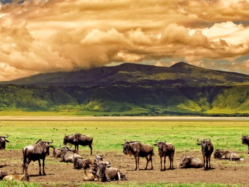 Ngorongoro Conservation Area