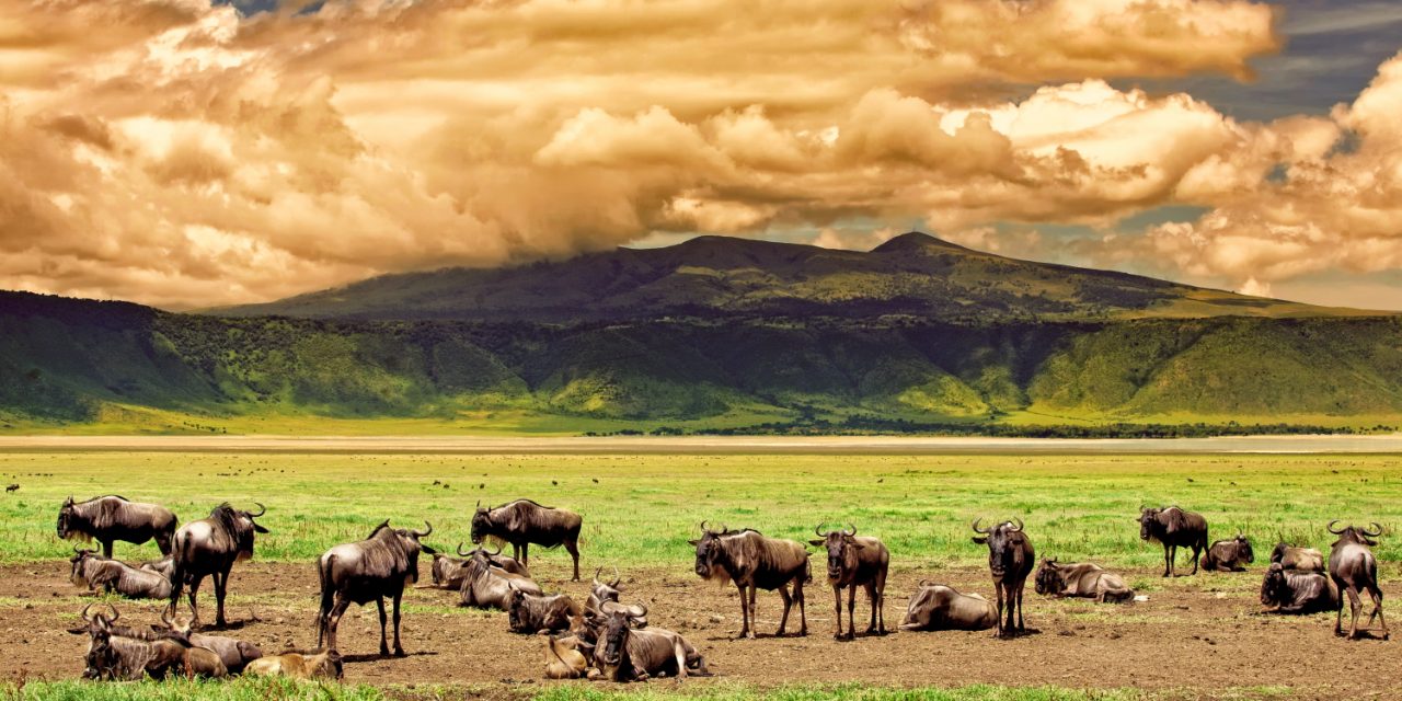 Ngorongoro Conservation Area