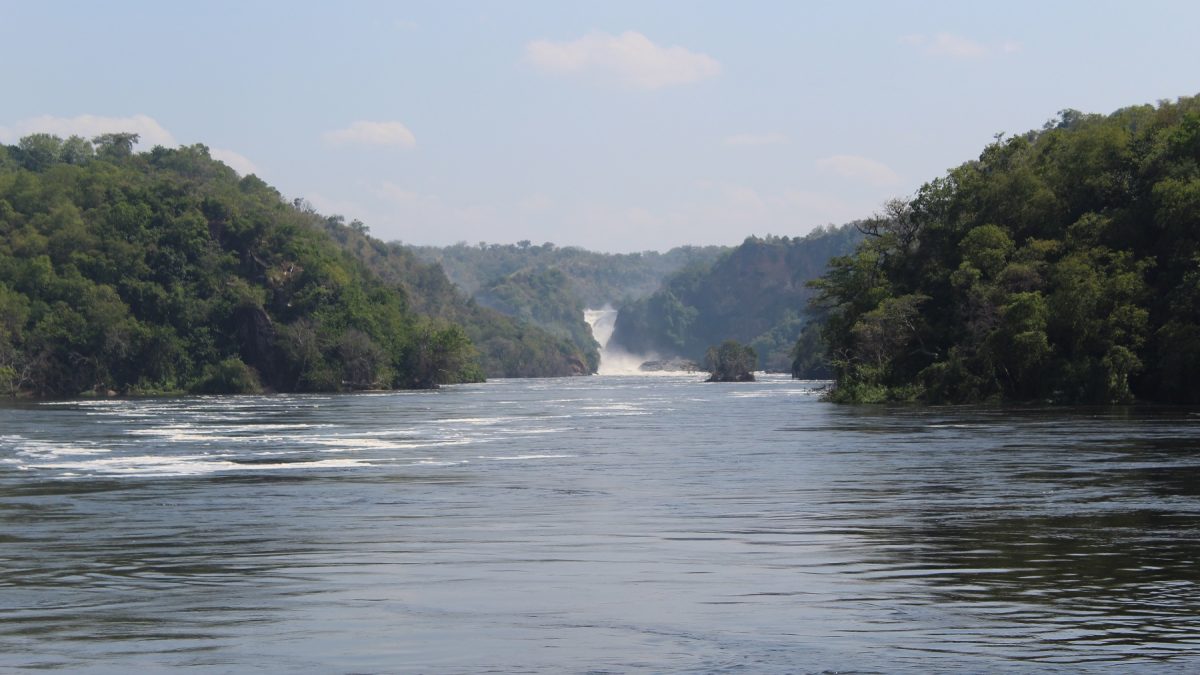 Uganda Safaris