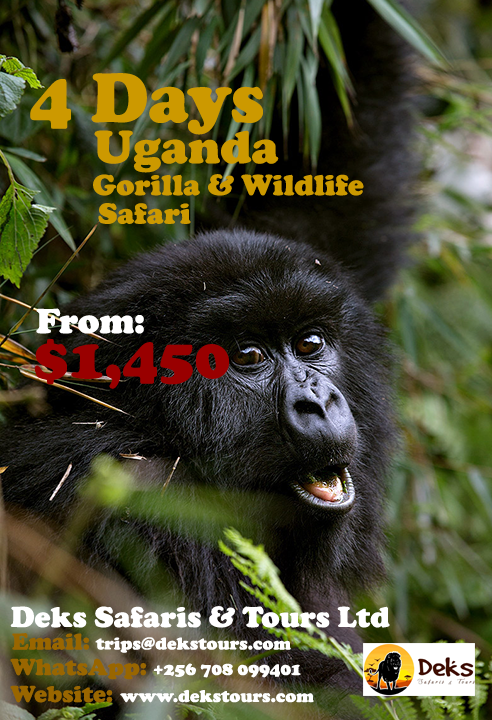 What is Uganda Safari