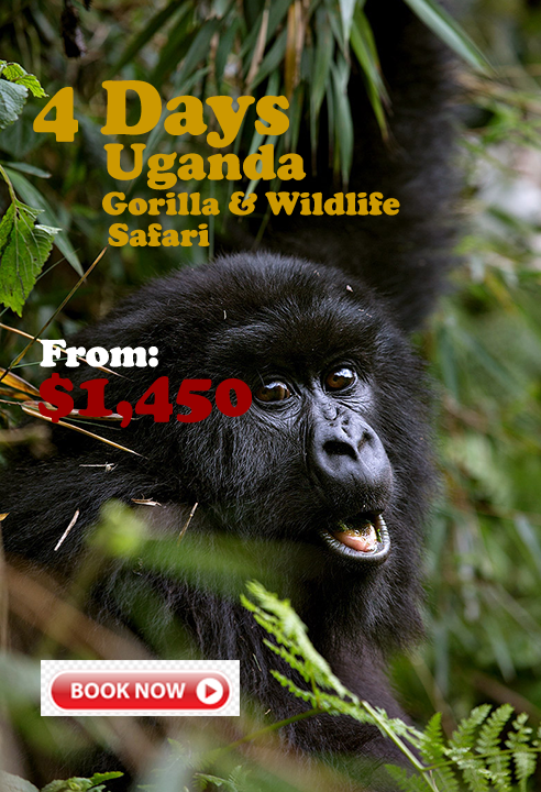 Carrying Money in Uganda while on Safari