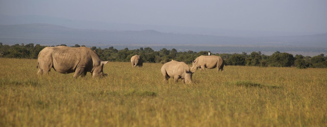 East Africa Safari Destinations