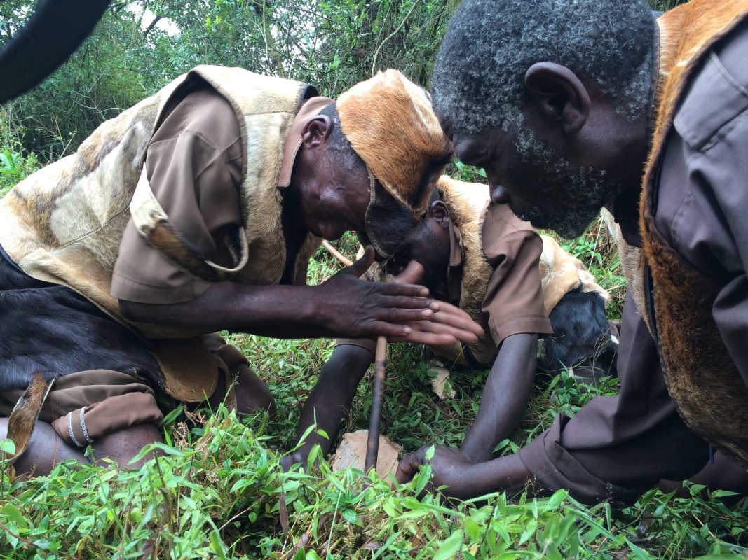 Batwa Cultural Experience