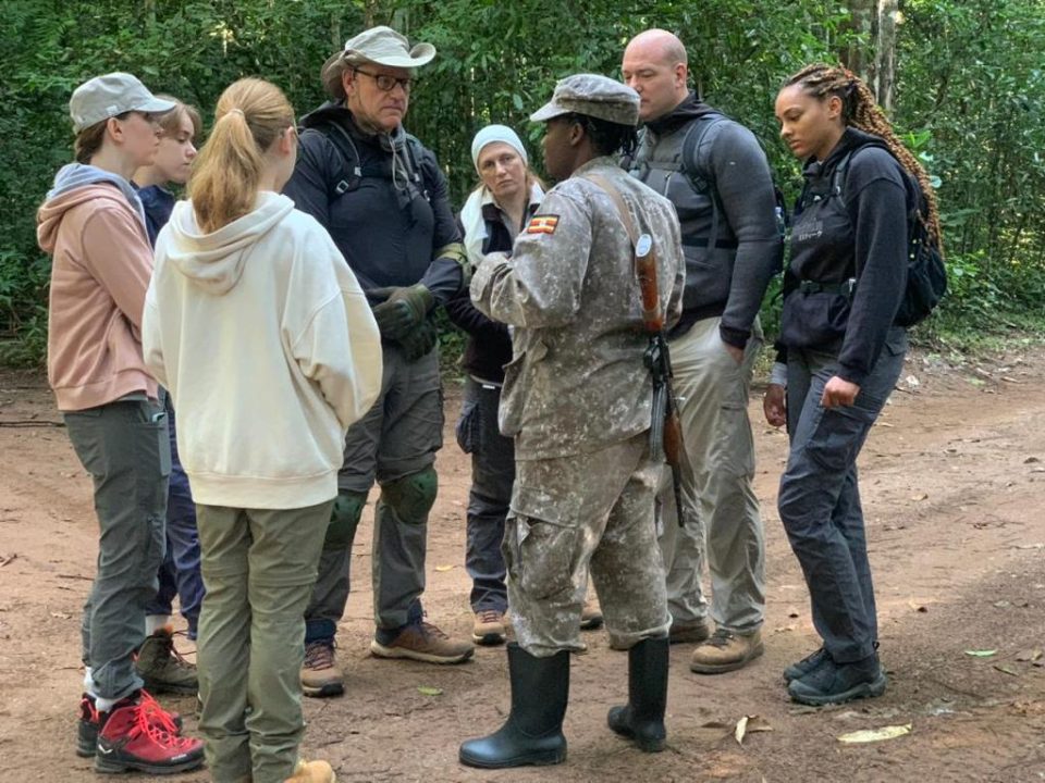 Gorilla Trekking In Bwindi