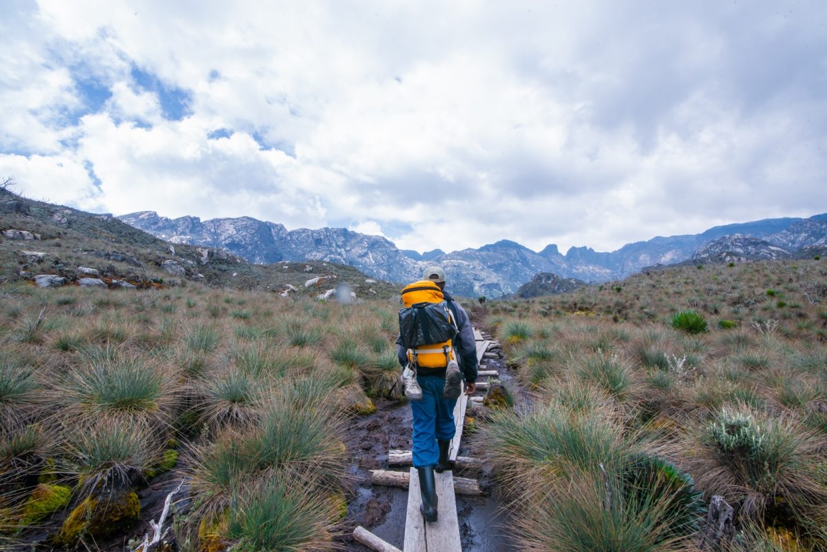 Mountain Elgon National Park 