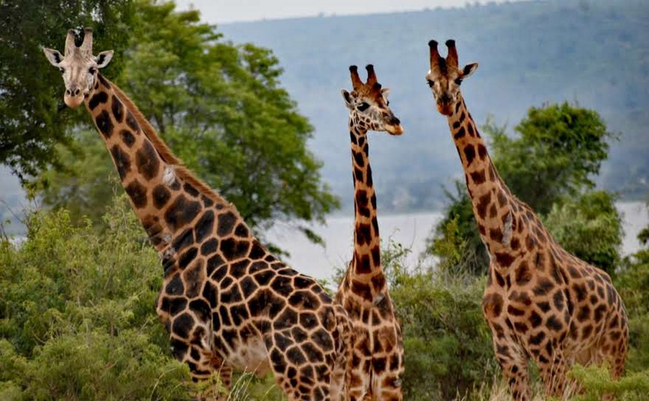 Lake Mburo National Park