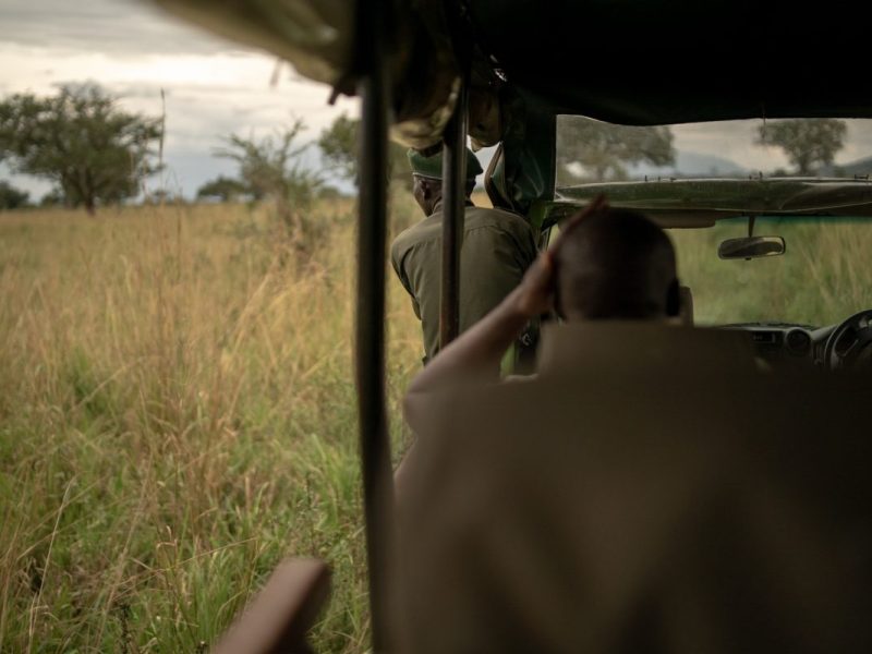 Short Uganda Safaris