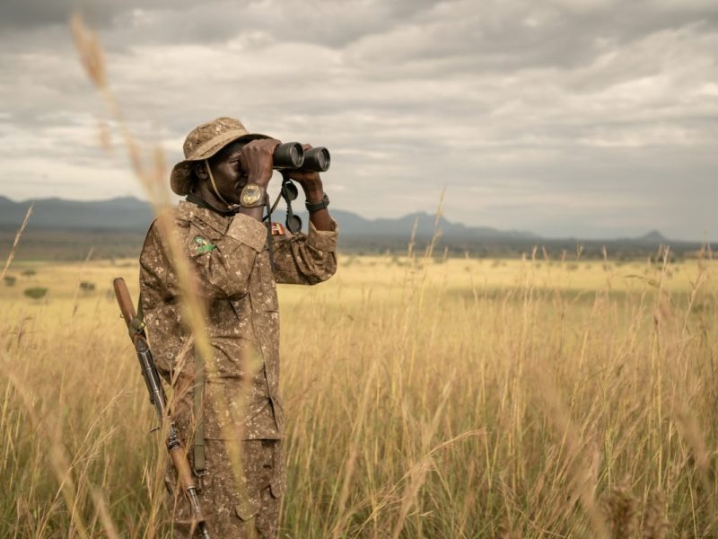 Ultimate Uganda Safari