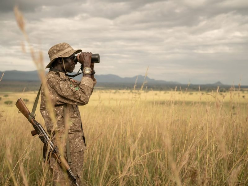 Long Uganda Safaris